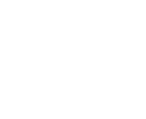 knock-out-paparazzi-logo
